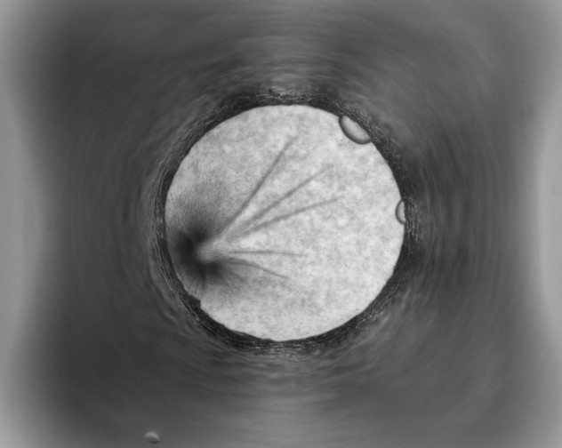 X0000093421009200711091413