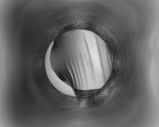 X0000093421010200711091413