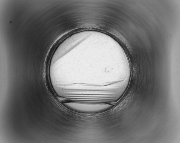 X0000093421020200711091413