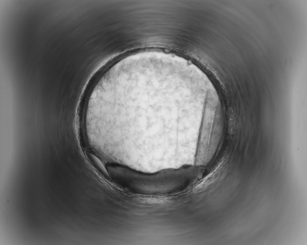 X0000093421024200711091413