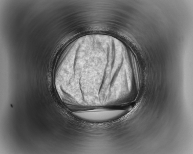 X0000093421025200711091413