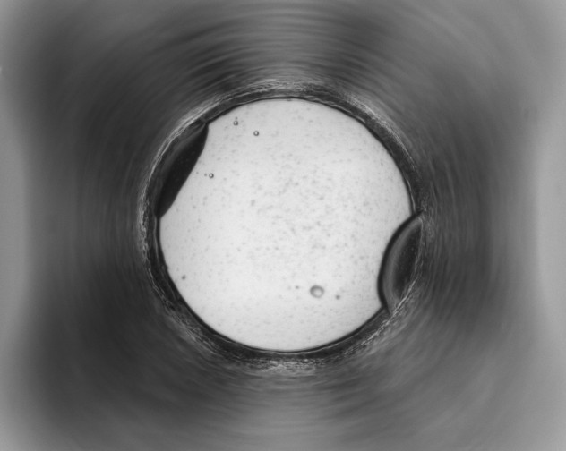 X0000093421026200711091413