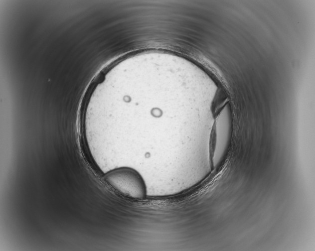 X0000093421028200711091413