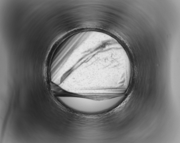 X0000093421029200711091413