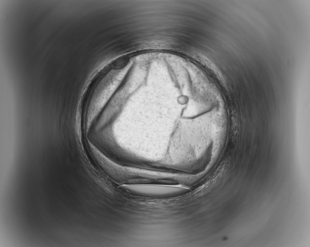 X0000093421035200711091413