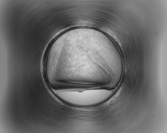 X0000093421037200711091413