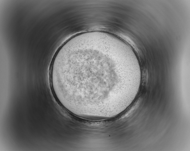 X0000093421047200711091413