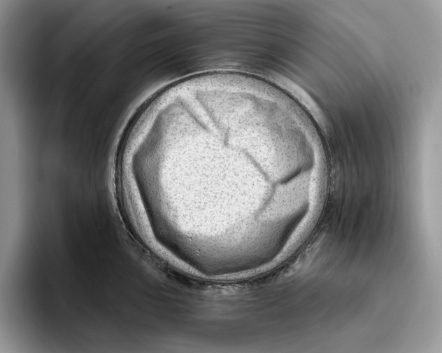 X0000093421051200711091413