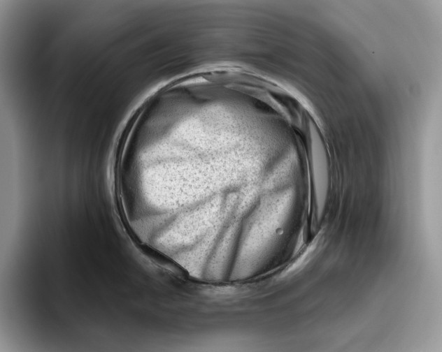 X0000093421054200711091414