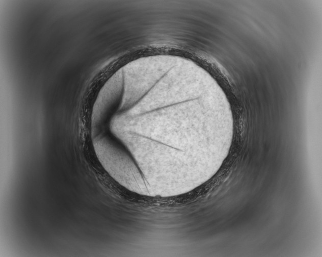 X0000093421064200711091413