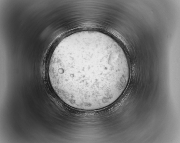 X0000093421067200711091413