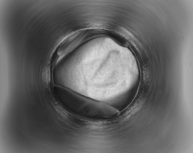 X0000093421069200711091413