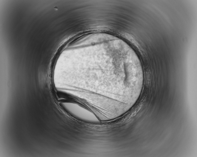 X0000093421071200711091413