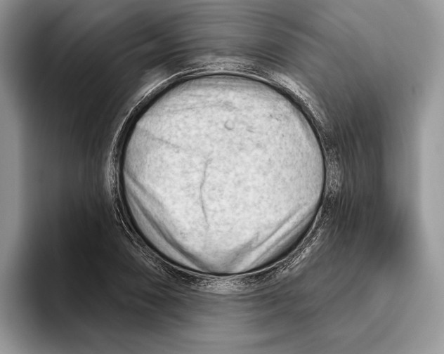 X0000093421074200711091413