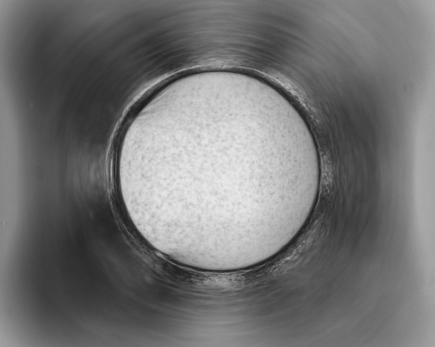 X0000093421078200711091413