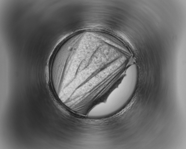 X0000093421079200711091413