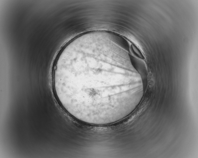 X0000093421088200711091413