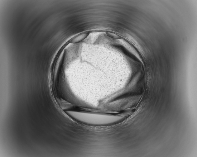 X0000093421092200711091413