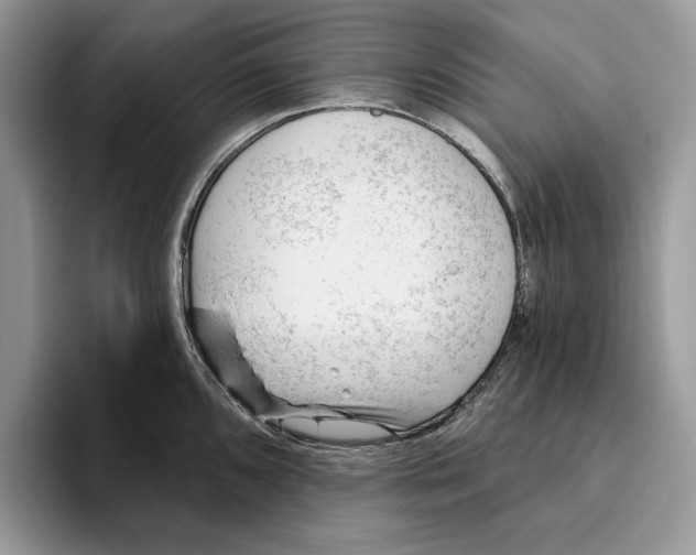 X0000093421096200711091413