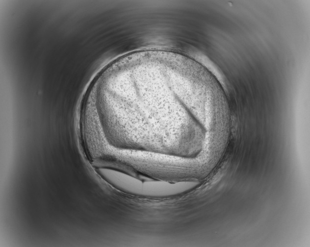 X0000093421099200711091412