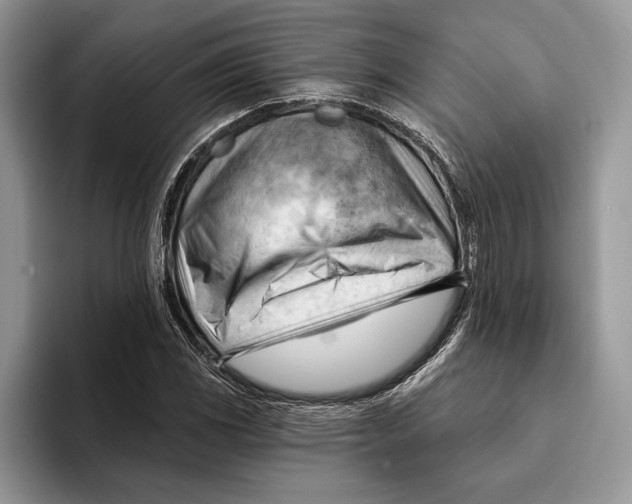 X0000093421117200711091412