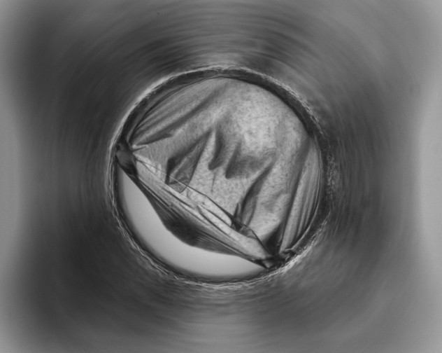 X0000093421118200711091412