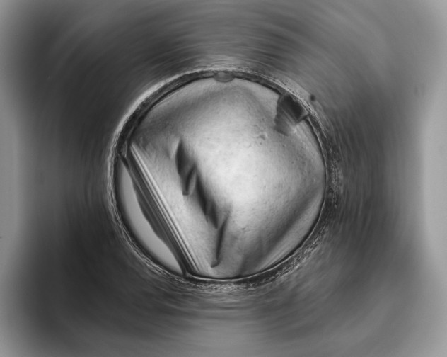 X0000093421120200711091412