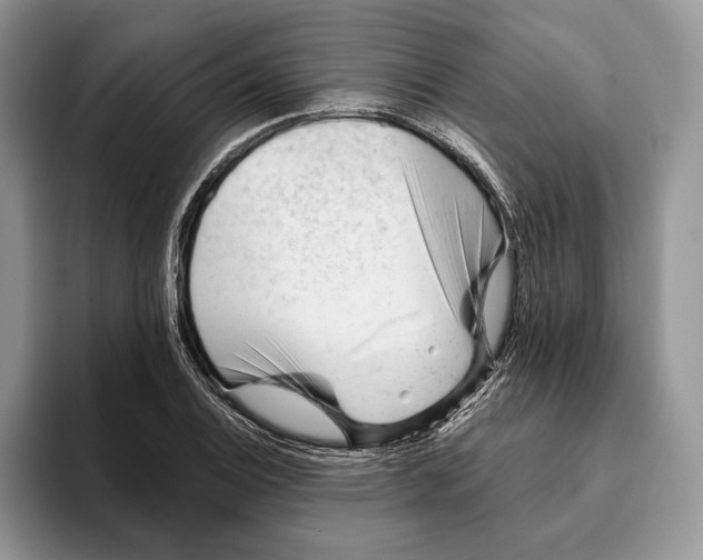 X0000093421124200711091412