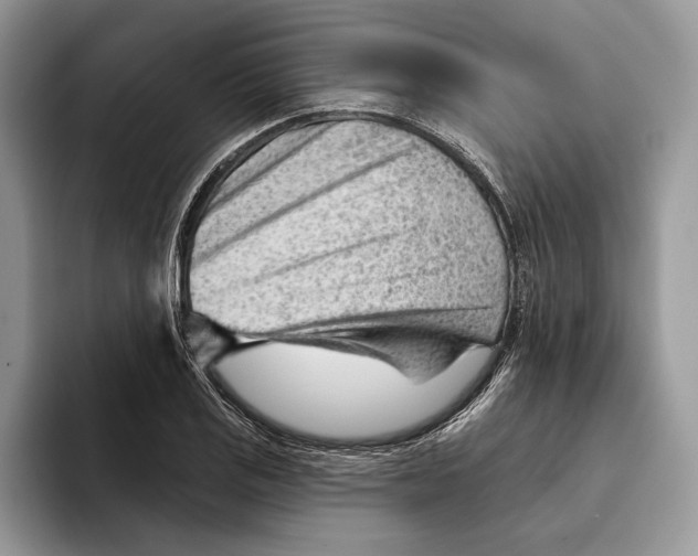 X0000093421125200711091412