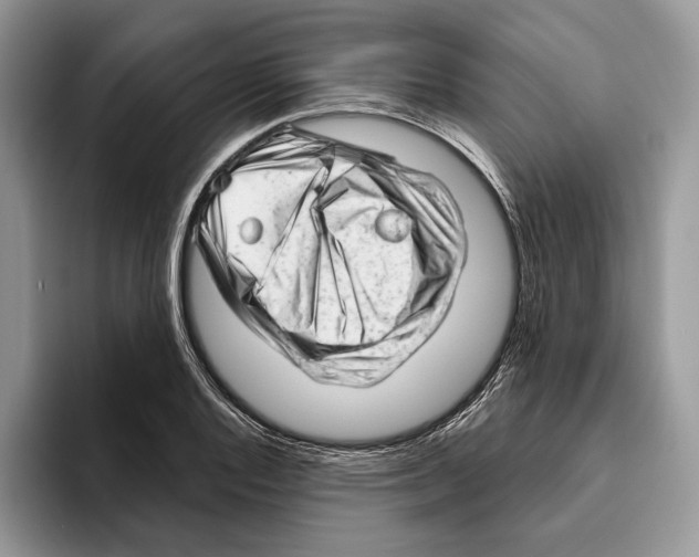 X0000093421128200711091412