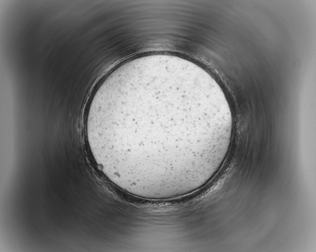 X0000093421129200711091412