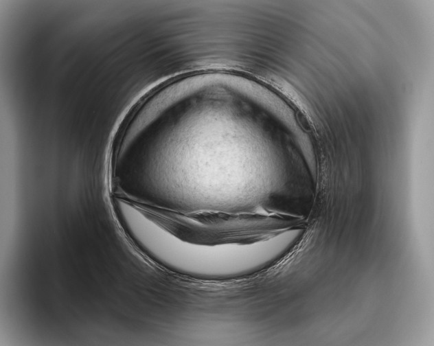 X0000093421132200711091412