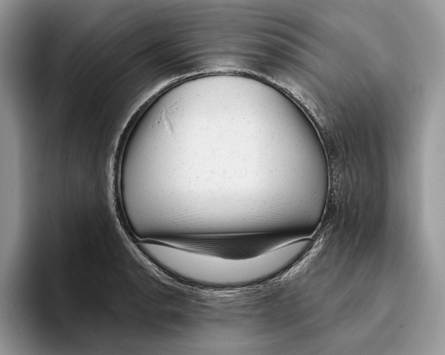 X0000093421134200711091412