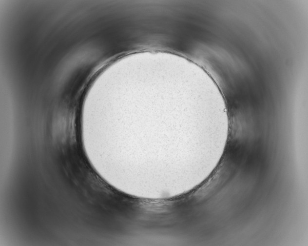 X0000093421150200711091412