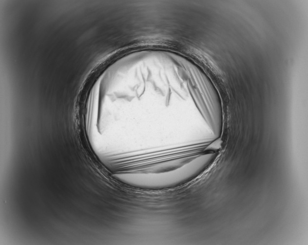 X0000093421164200711091412