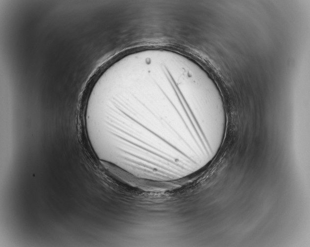 X0000093421168200711091412