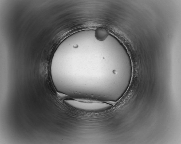 X0000093421169200711091412