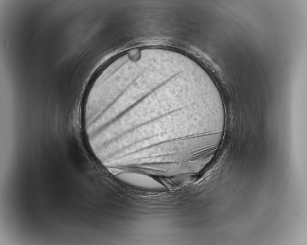 X0000093421174200711091412