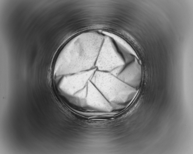 X0000093421178200711091412