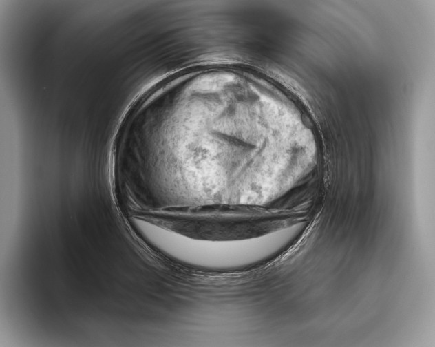 X0000093421179200711091412