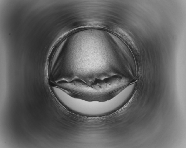 X0000093421180200711091412