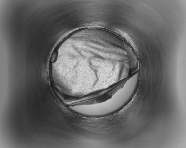 X0000093421184200711091412