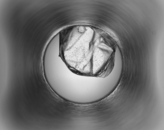 X0000093421192200711091411