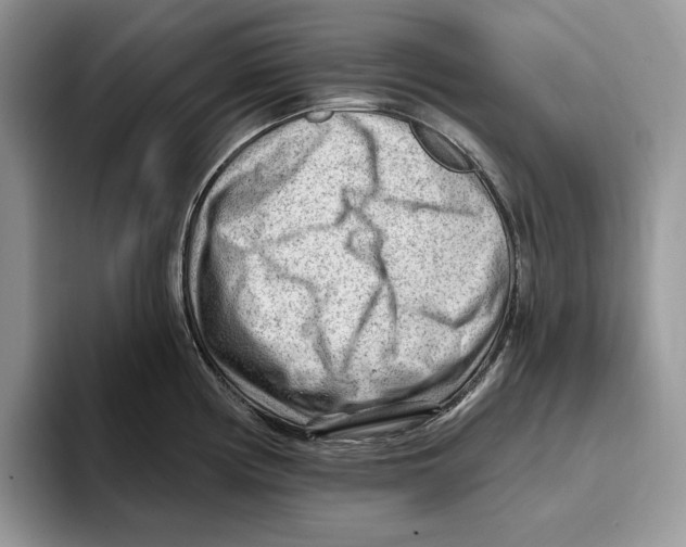 X0000093421194200711091411