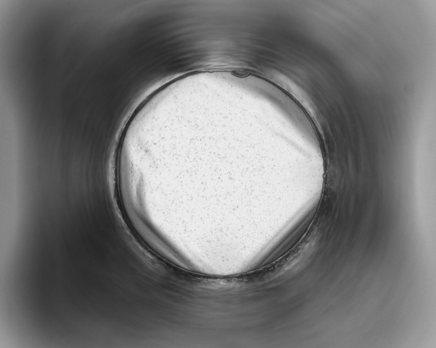 X0000093421195200711091411