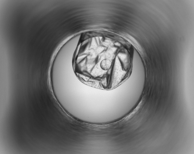 X0000093421196200711091411