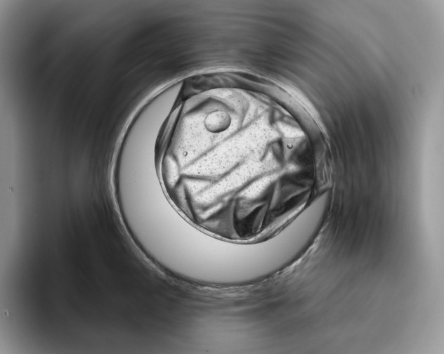 X0000093421197200711091411