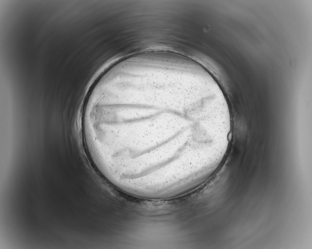 X0000093421198200711091411