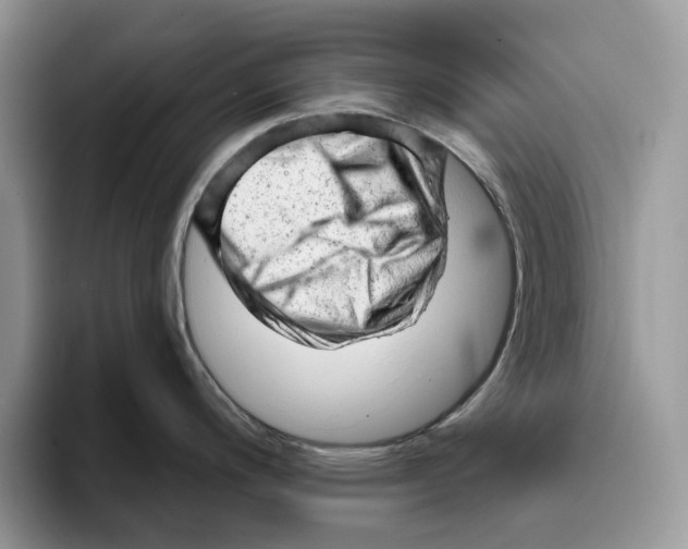 X0000093421200200711091411