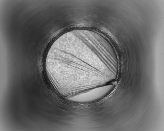 X0000093421213200711091411